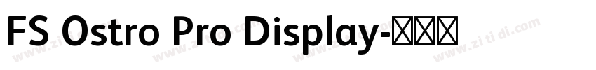 FS Ostro Pro Display字体转换